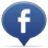 icon facebook